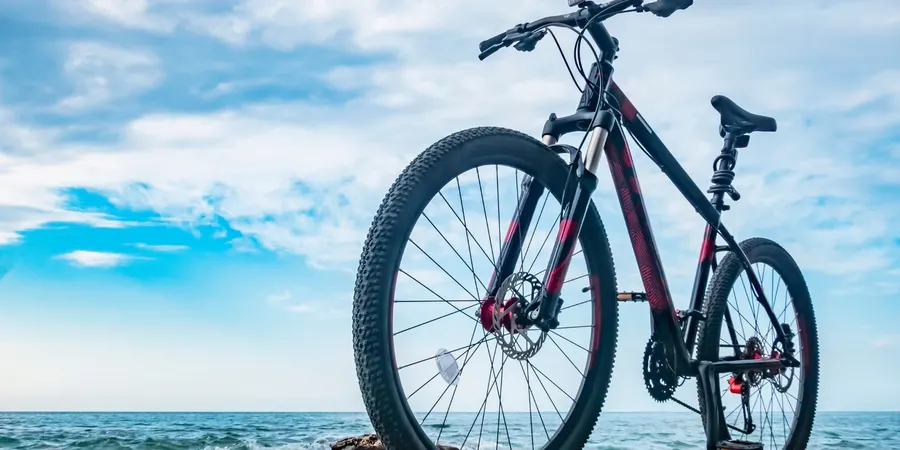 Bicicletas