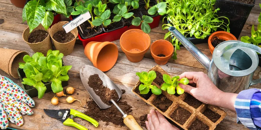 Productos agrícolas y fertilizantes